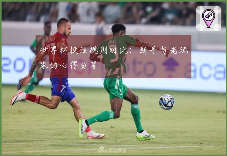 世界杯投注规则对比：新手与老玩家的心得分享