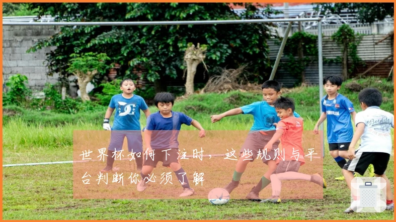 世界杯如何下注时，这些规则与平台判断你必须了解