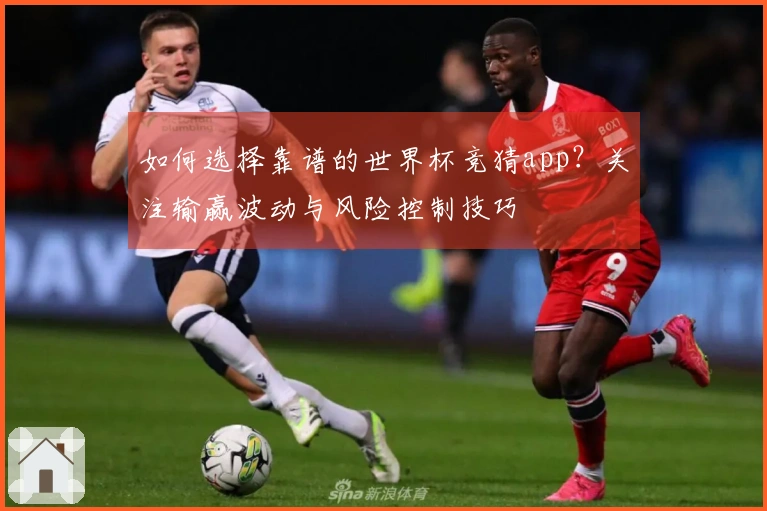 如何选择靠谱的世界杯竞猜app？关注输赢波动与风险控制技巧